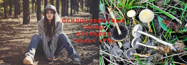 ешки Балахна